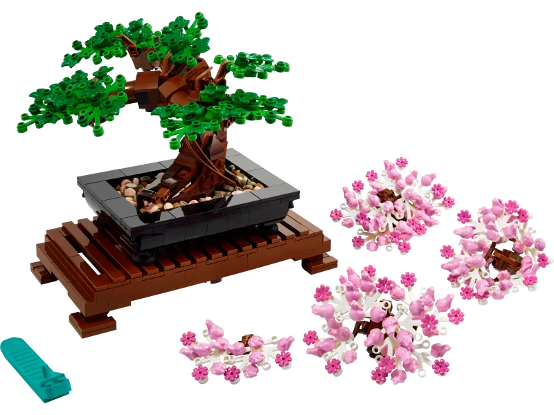 Bonsai Tree
