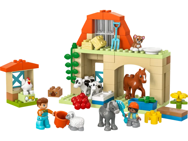 Caring for Animals at the Farm