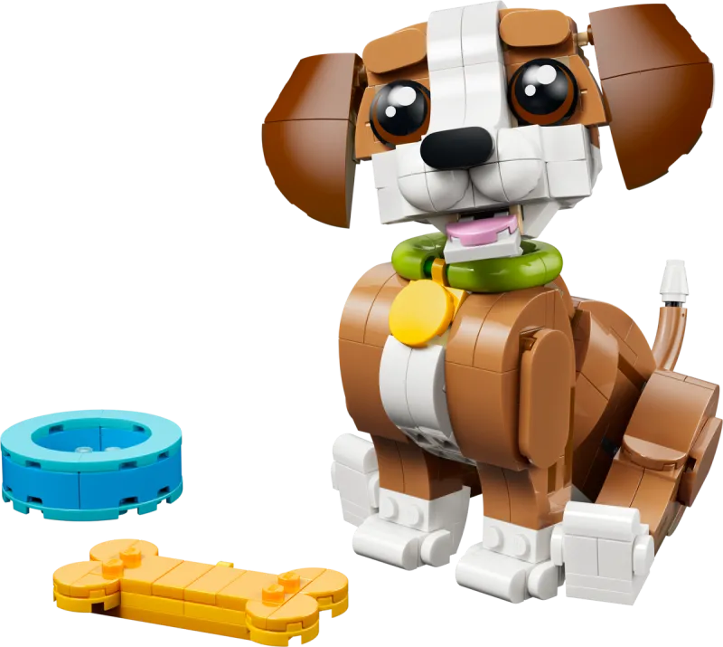 Cute Animals: Playful Puppy Dog