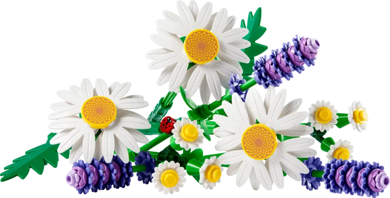 Daisies