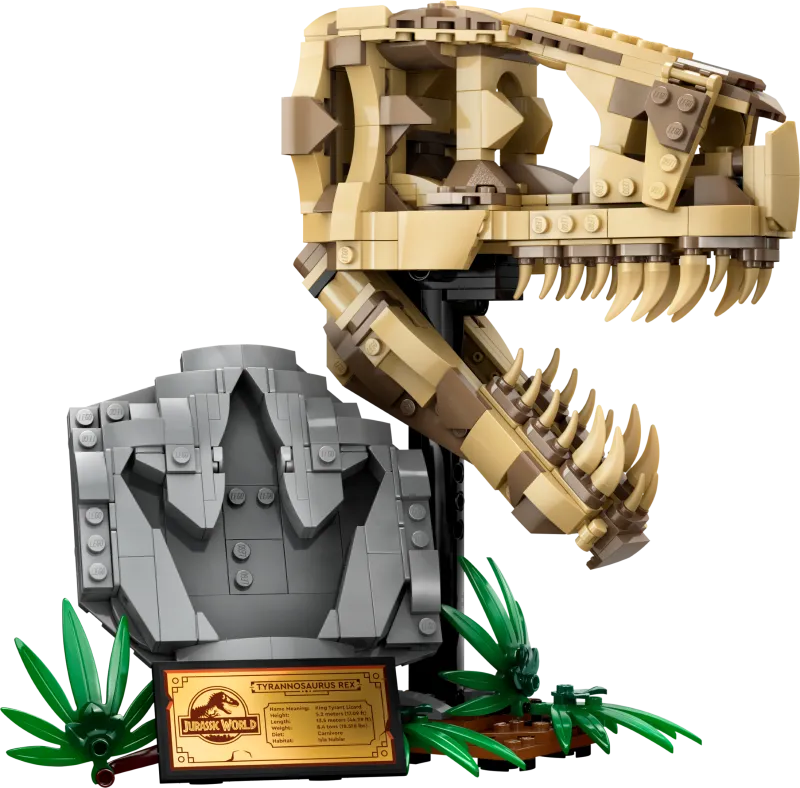 Dinosaur Fossils: T. rex Skull