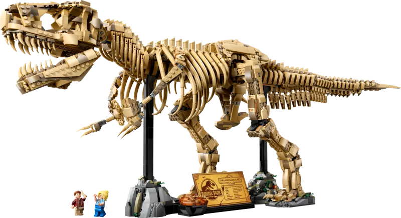 Dinosaur Fossils: Tyrannosaurus Rex