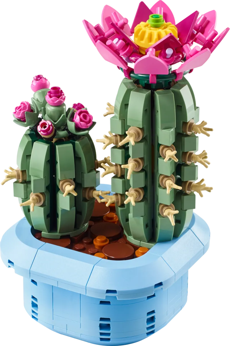 Flowering Cactus