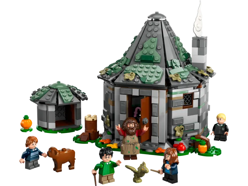 Hagrid's Hut: An Unexpected Visit