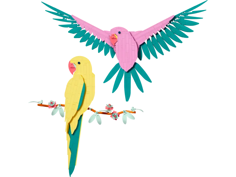 Macaw Parrots