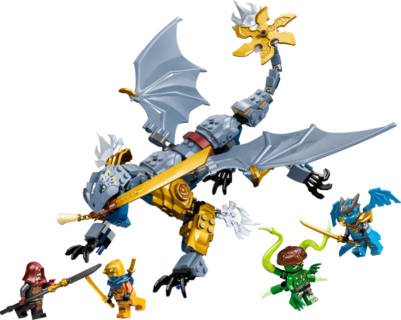 Ninja Dragon Riyu's Battle