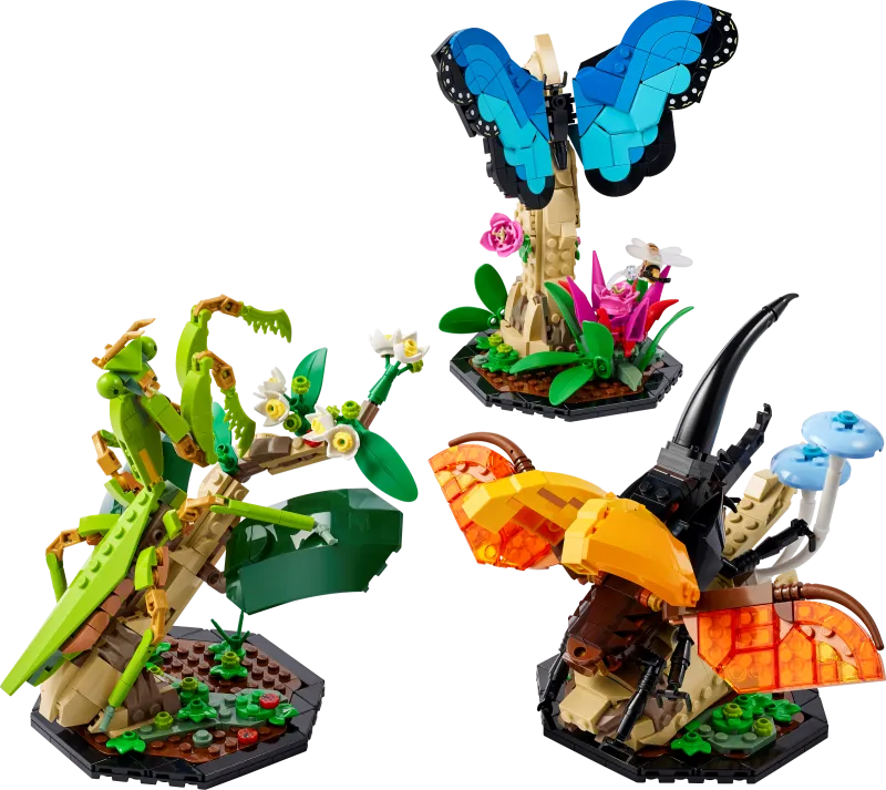 The Insect Collection