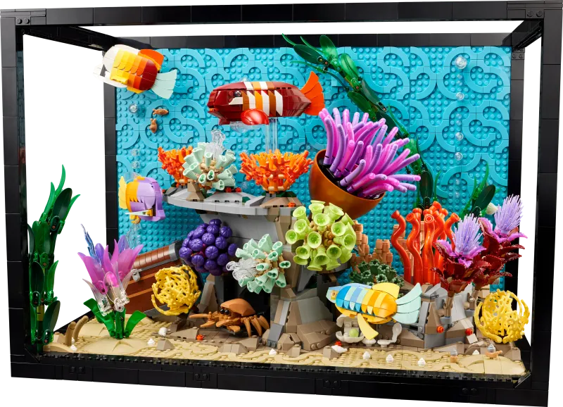 Tropical Aquarium