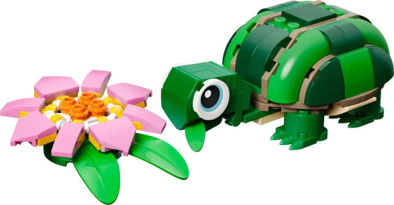 Turtle with a Water Lily Flower