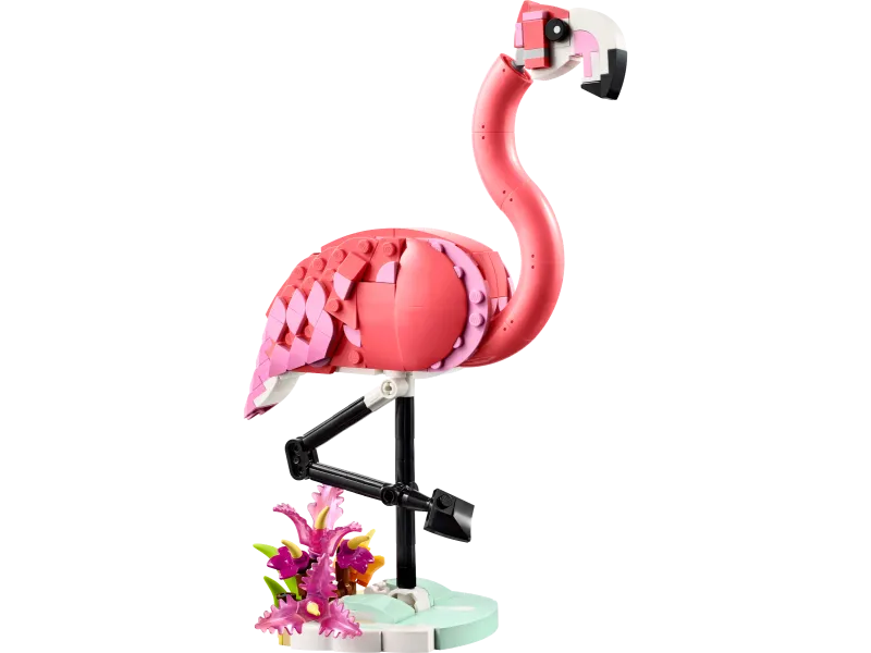 Wild Animals: Pink Flamingo