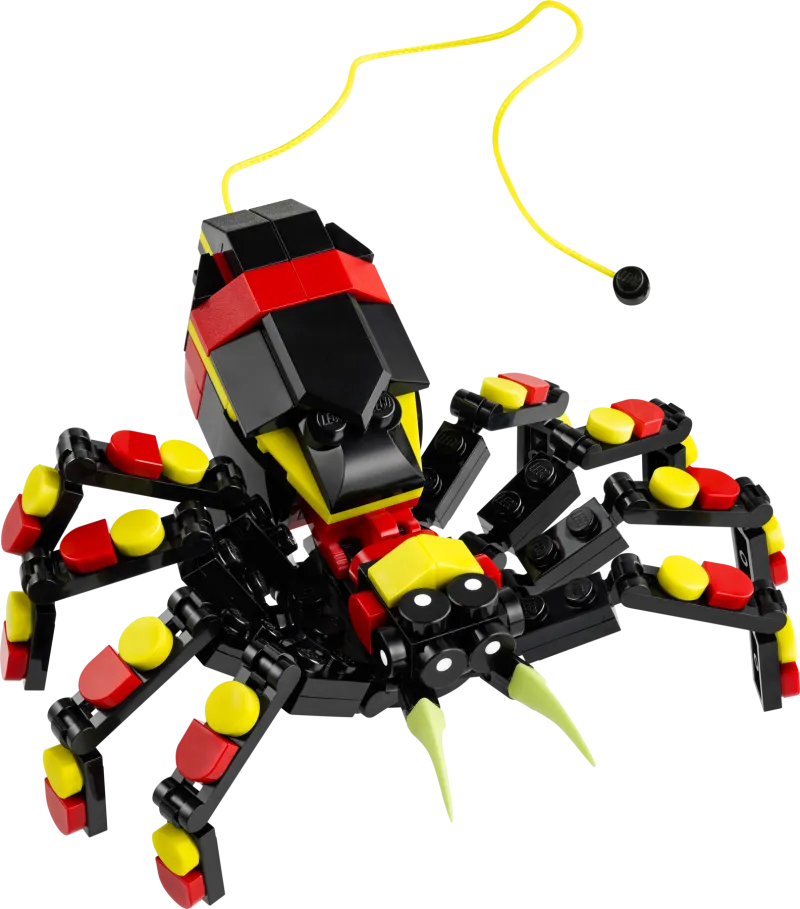 Wild Animals: Surprising Spider