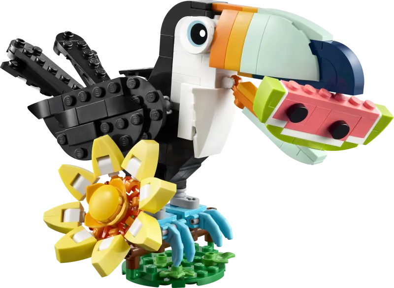 Wild Animals: Tropical Toucan